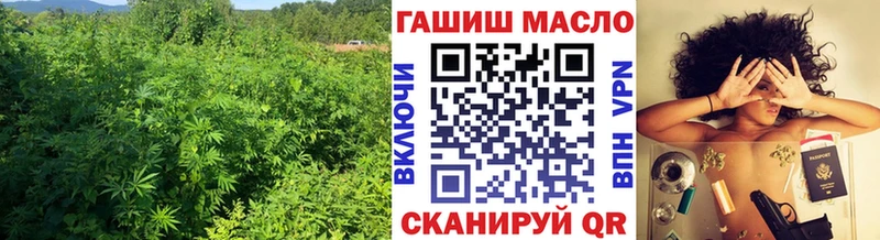 продажа наркотиков  Обоянь  дарк нет телеграм  ТГК концентрат 