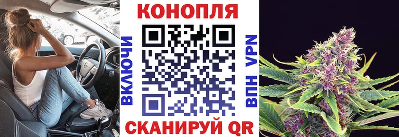 Шишки марихуана Bruce Banner Обоянь